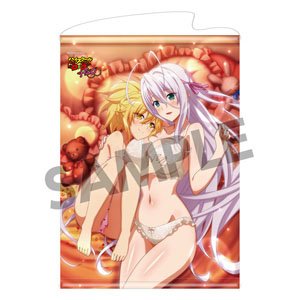『ハイスクールD×D HERO』B2タペストリー vol.3 ロスヴァイセ&九重 ワイルドフラワー ver.